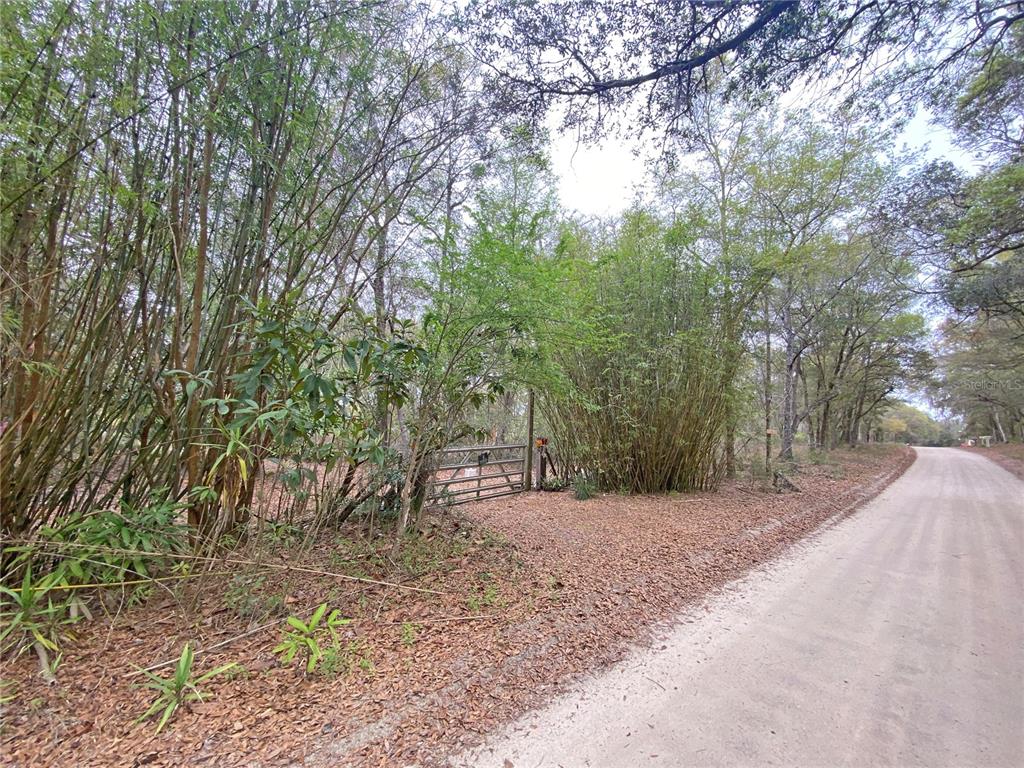 A dirt road runs alongside a wooded lot featuring a metal gate and bamboo — 119 TWIN LAKES ROAD, HAWTHORNE, FL
