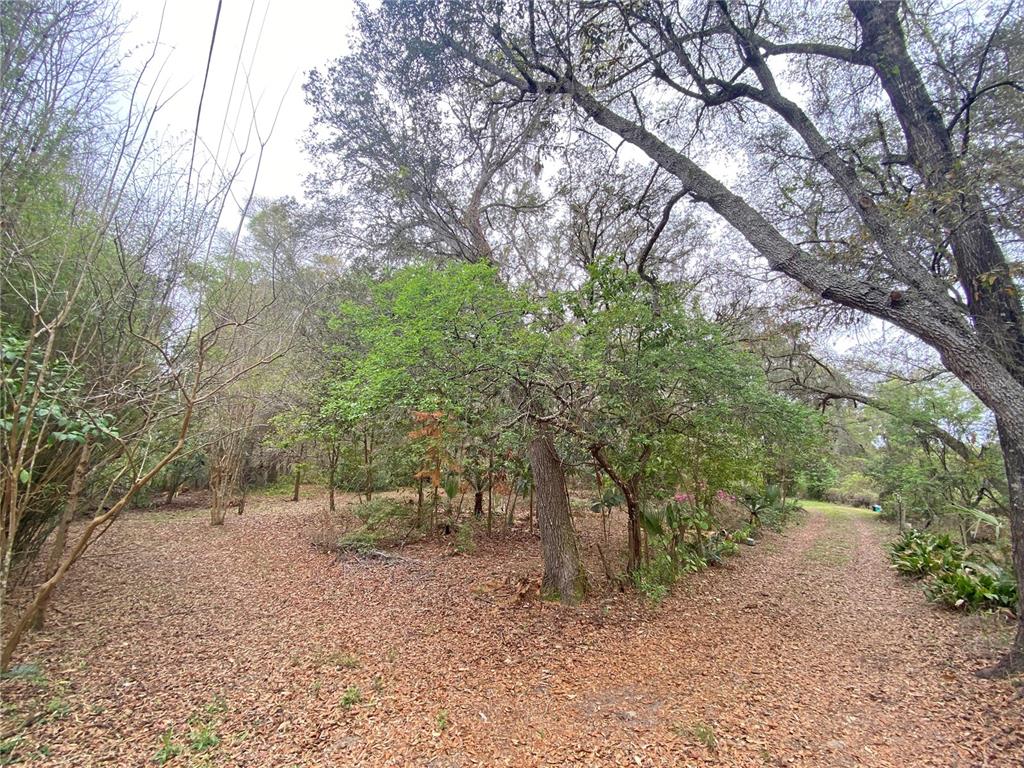 A wooded lot with a dirt path and scattered fallen leaves under a canopy — 119 TWIN LAKES ROAD, HAWTHORNE, FL
