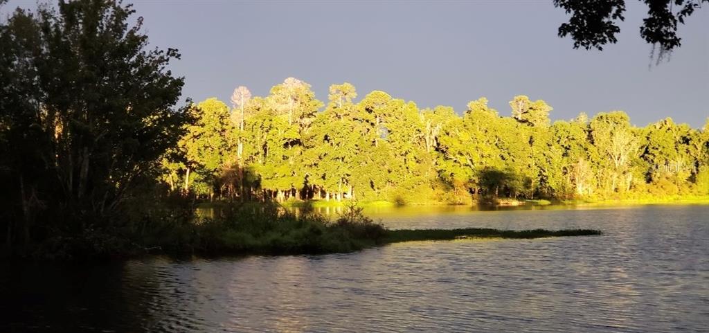 A view of a lake with a dense forest line under a dark, stormy sky — 2092 CULBREATH ROAD UNIT A78, BROOKSVILLE, FL