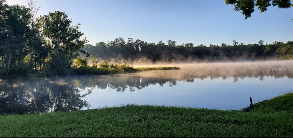 A misty lake reflects the surrounding trees and sky at sunrise — 2092 CULBREATH ROAD UNIT A78, BROOKSVILLE, FL