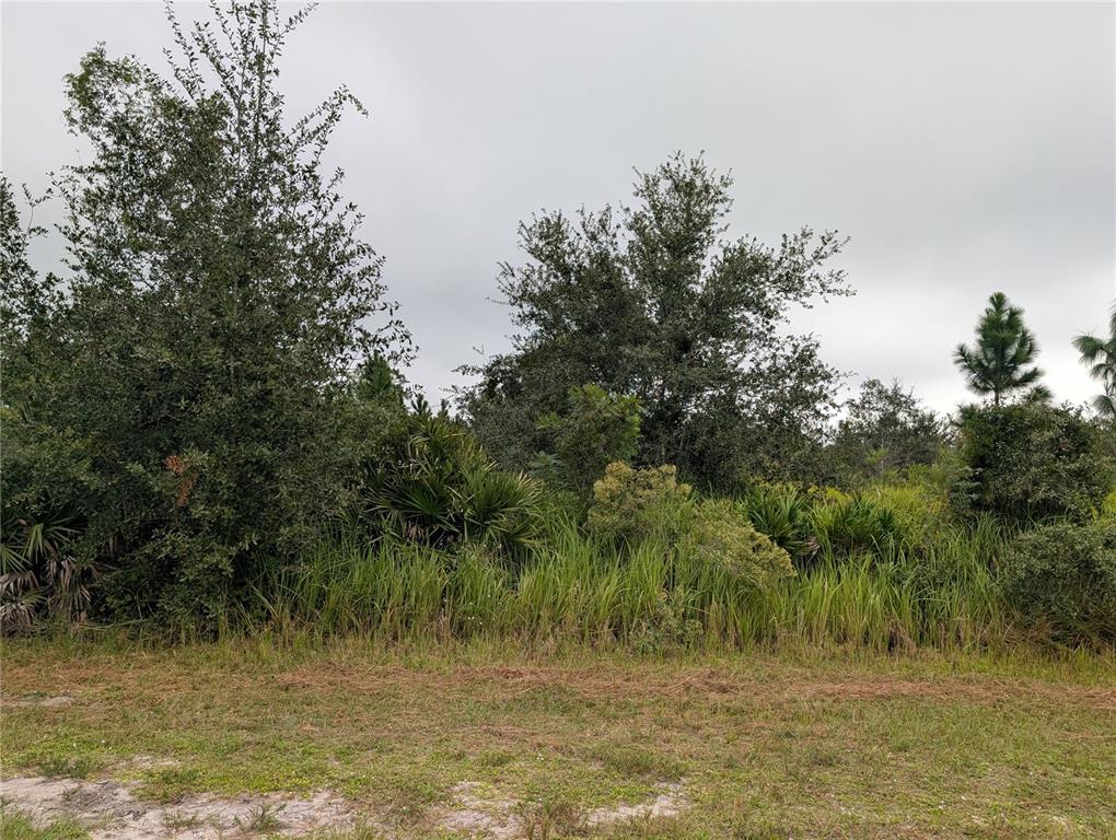 A view of a grassy lot with dense trees and shrubs under a cloudy sky — 6931 ORLANDO DRIVE, INDIAN LAKE ESTATES, FL