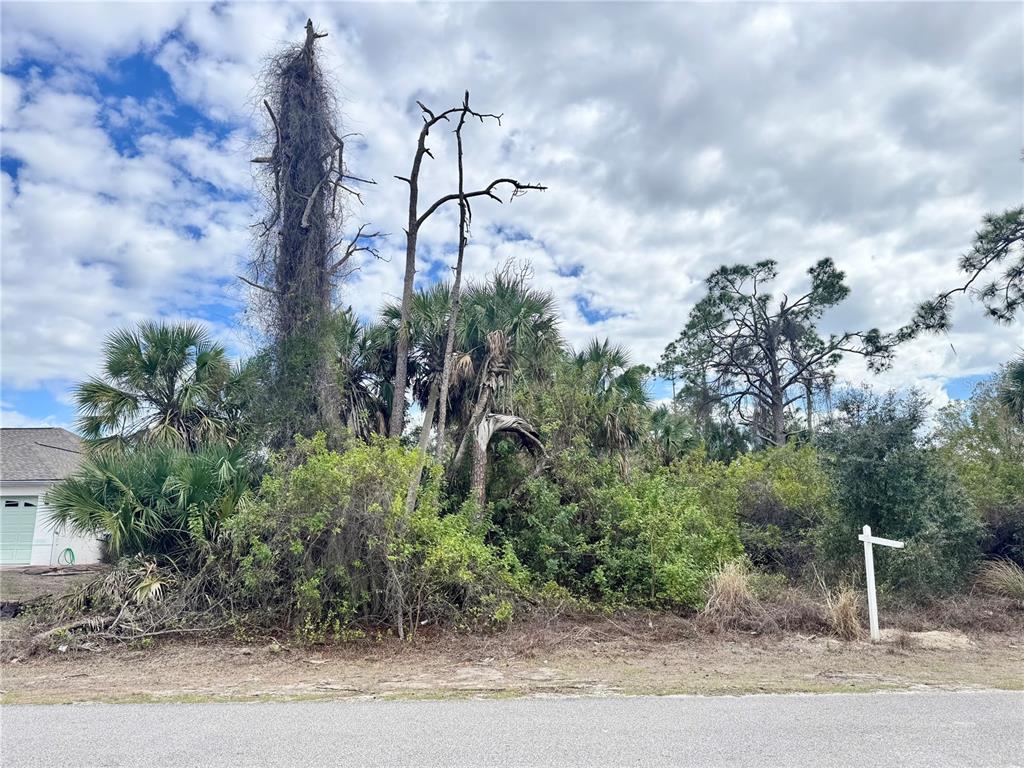 A vacant, overgrown lot with several trees and a white sign stands beside a road — KENVIL DRIVE, NORTH PORT, FL