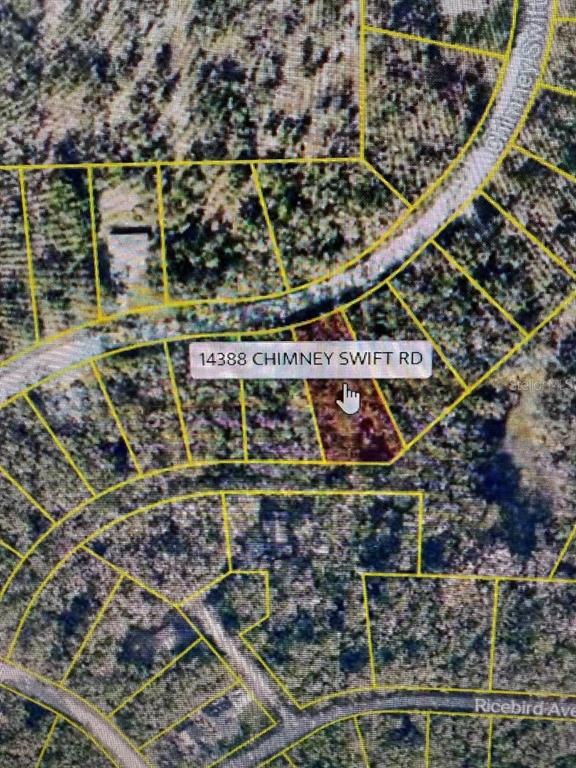 This is an aerial map showing a highlighted residential lot outlined in yellow — 14388 CHIMNEY SWIFT ROAD, WEEKI WACHEE, FL