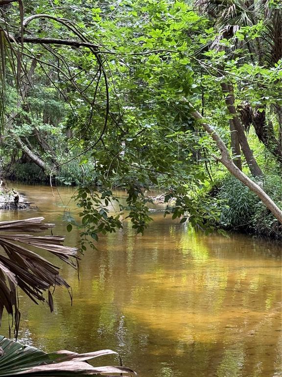 A narrow, calm stream flows through a lush, wooded area with overhanging tree branches — OKALOOSA TRAIL, SORRENTO, FL