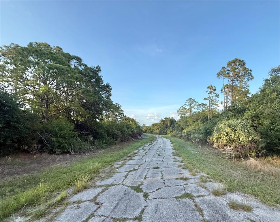 A cracked, weathered asphalt road winds through a wooded area under a clear blue sky — Lot 23 HINSHAW AVENUE, NORTH PORT, FL