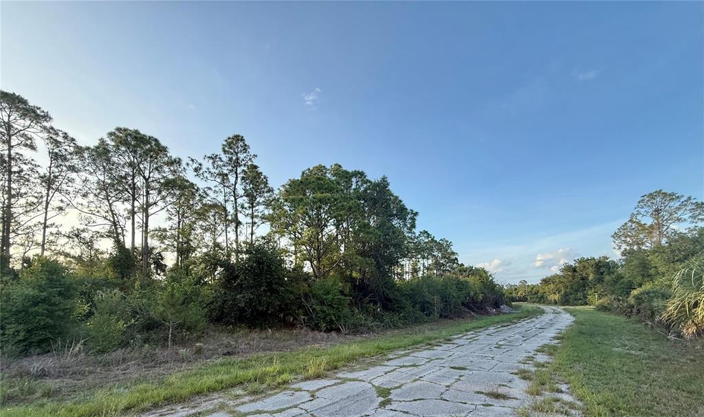 A cracked, weathered asphalt road winds past a wooded lot under a clear blue sky — Lot 23 HINSHAW AVENUE, NORTH PORT, FL