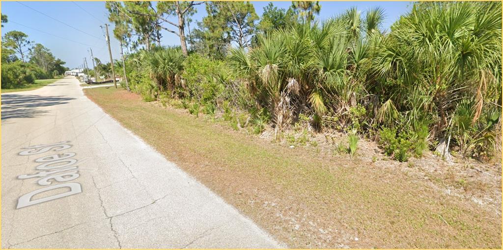 A paved road runs alongside a vacant, wooded lot filled with palm trees and brush — 8301 DAFOE STREET, PORT CHARLOTTE, FL