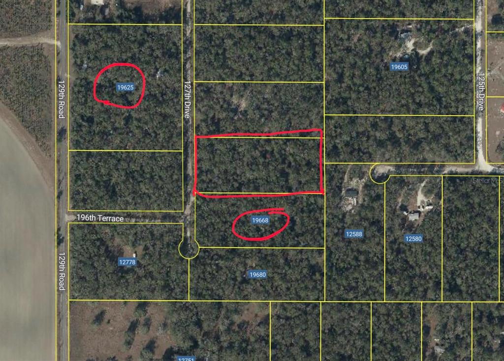 127TH DRIVE, O'BRIEN, FL — photo 2 of 2