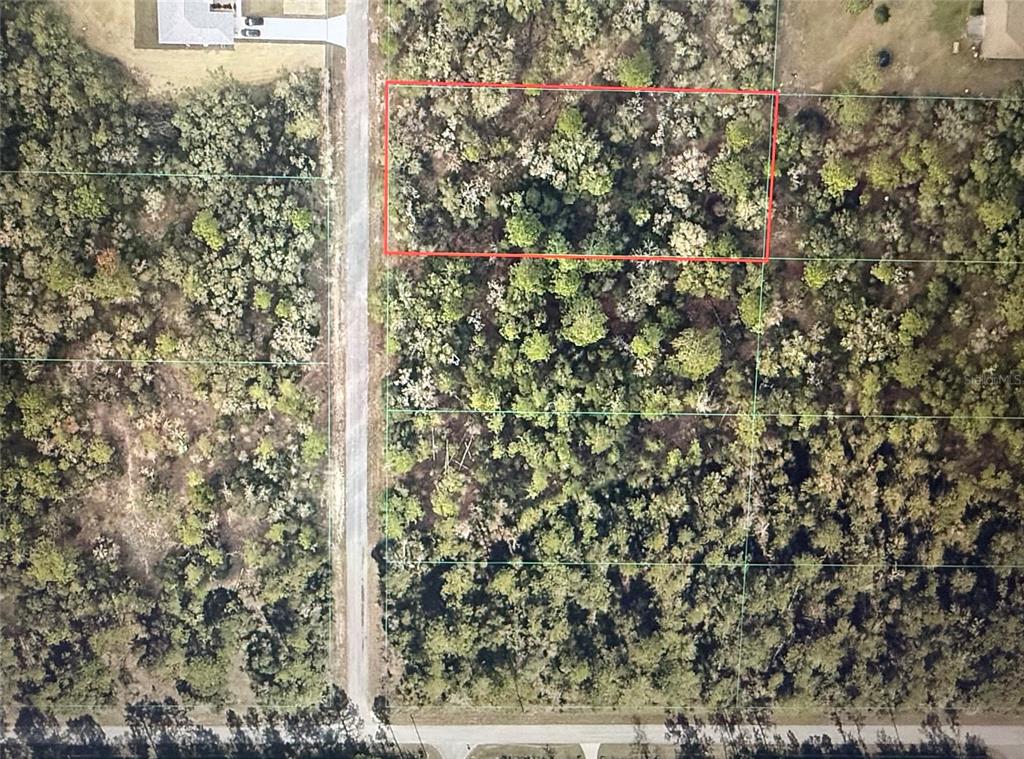 An aerial view shows a rectangular wooded lot outlined in red next to a road — 00 SOUTHWEST VALENCIA HEIGHTS AVENUE, DUNNELLON, FL