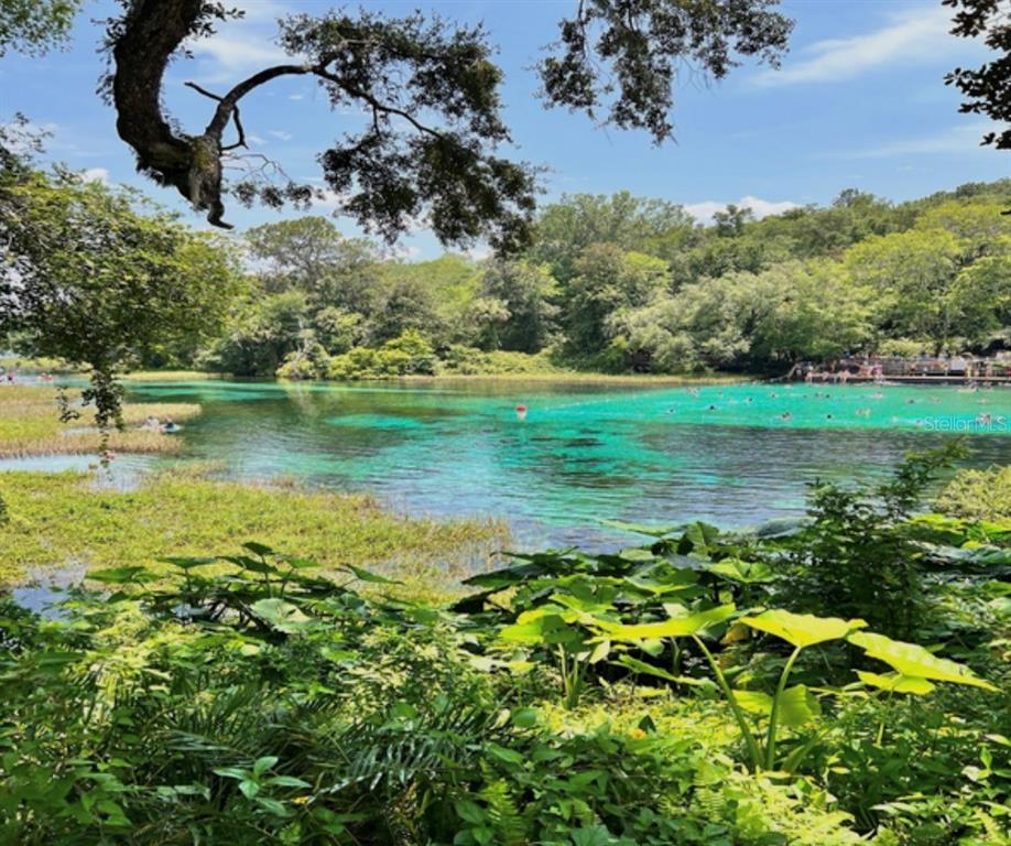 A view of a clear, turquoise natural spring surrounded by lush green trees and vegetation — 00 SOUTHWEST VALENCIA HEIGHTS AVENUE, DUNNELLON, FL