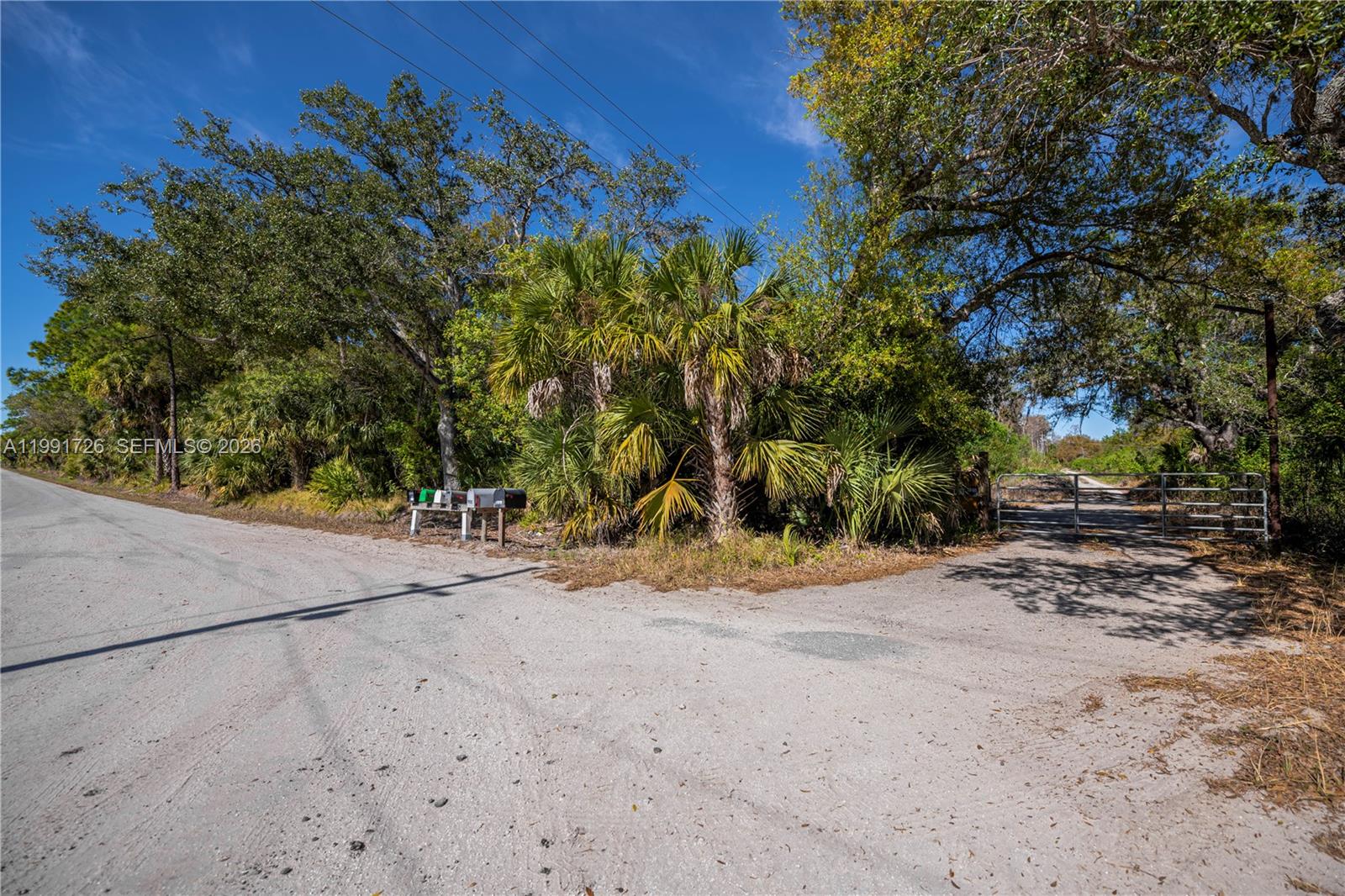 A dirt road leads to a gated entrance surrounded by trees and palm bushes — 900 G RD, La Belle FL 33935, LA BELLE, FL