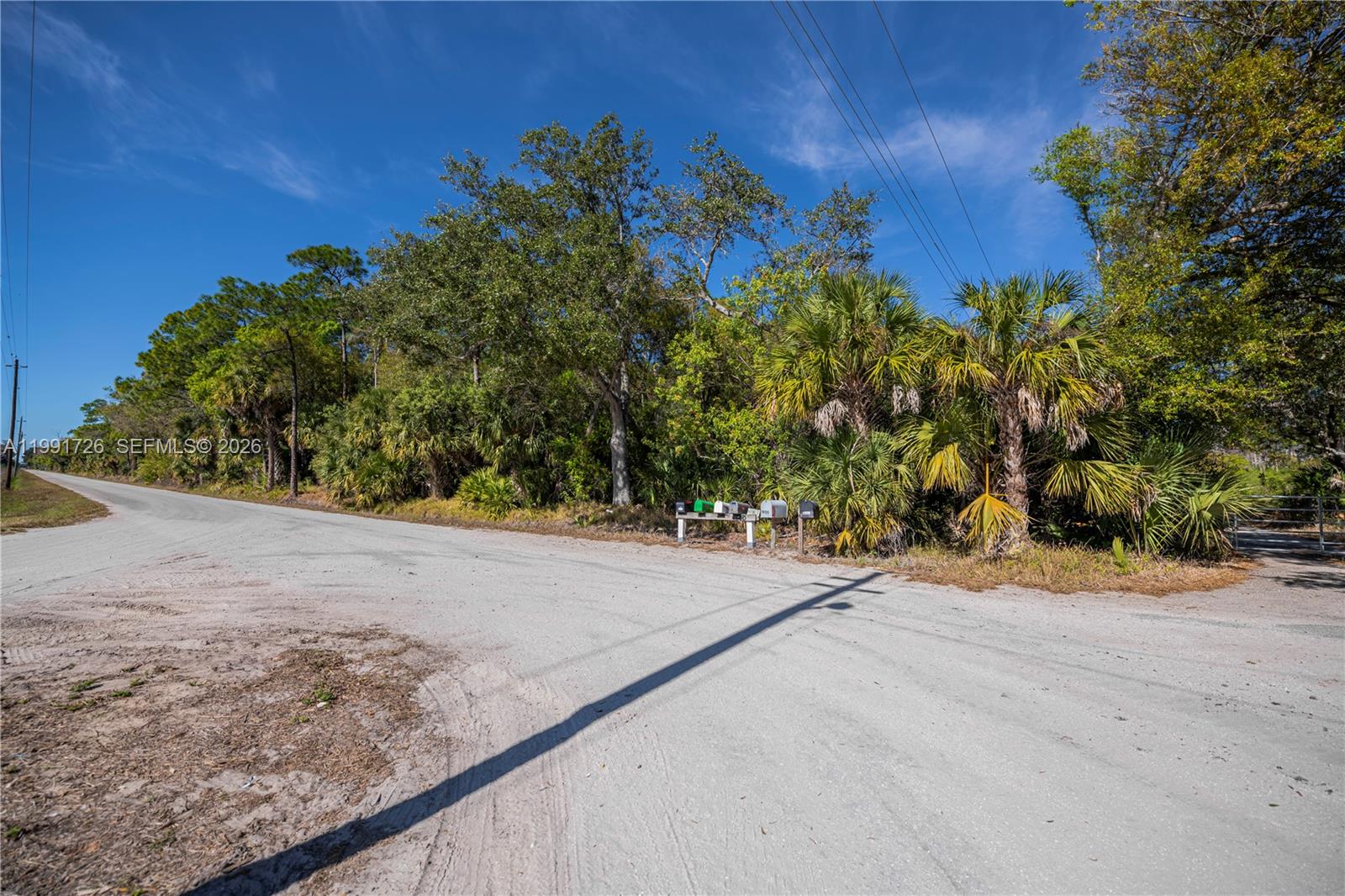 A dirt road curves past a wooded lot with palm trees and several mailboxes — 900 G RD, La Belle FL 33935, LA BELLE, FL