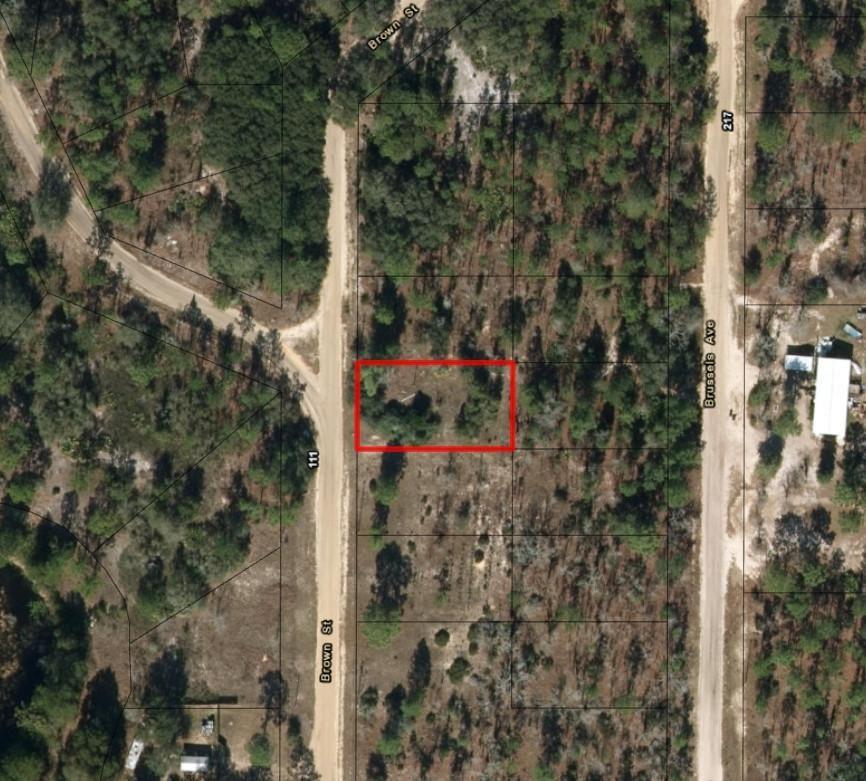An aerial map view shows a rectangular plot of land highlighted in red — 110 Brown Street, FL 32148, FL
