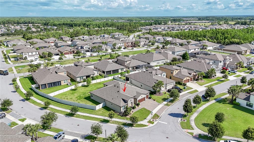 An aerial view shows a single-story suburban house with a fenced yard and driveway — 8687 BIRCHLEAF COURT COURT, LAND O LAKES, FL