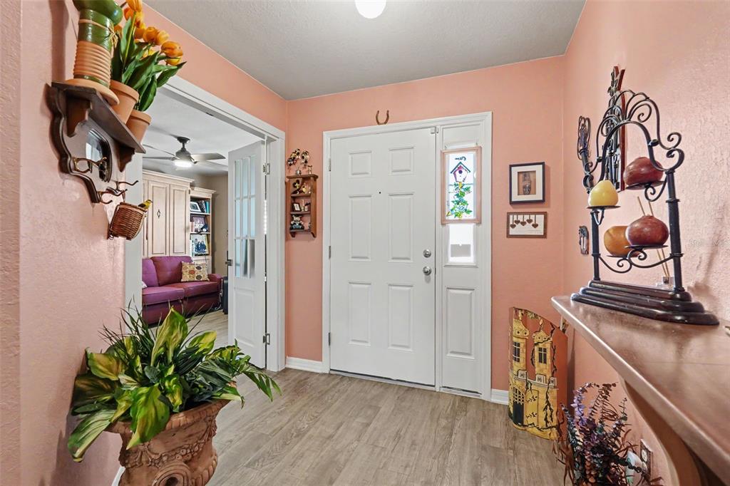 An entryway features peach-colored walls, a white front door, and wood-look flooring — 11820 STONE PINE STREET, RIVERVIEW, FL
