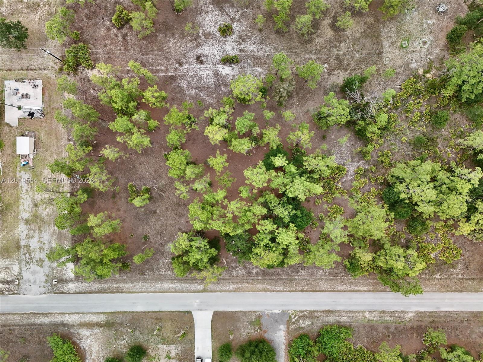 An aerial view shows a wooded, undeveloped rectangular lot adjacent to a paved road — 1417 Thompson Ave, Lehigh Acres FL 33972, LEHIGH ACRES, FL
