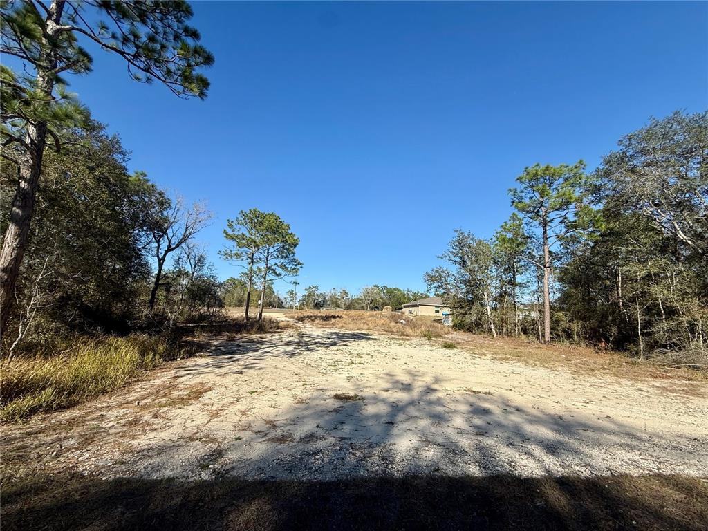 A sandy, cleared residential lot is surrounded by trees under a clear blue sky — 47 BAHIA COURT TRACK, OCALA, FL