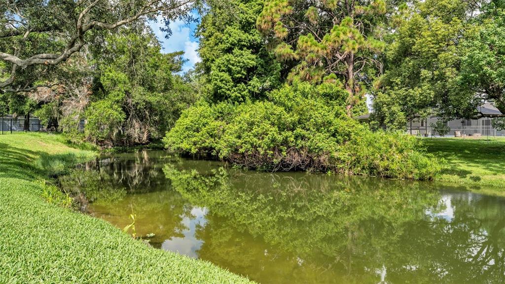 A small pond is surrounded by lush green trees and a grassy lawn — 1754 TURTLE ROCK DRIVE, LAKELAND, FL
