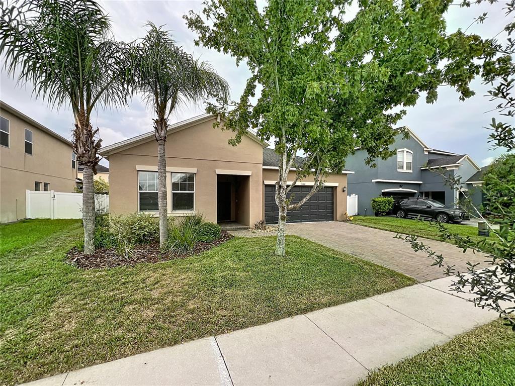 A single-story tan house with a dark garage, palm trees, and a paved driveway — 3160 CALVANO DRIVE, LAND O LAKES, FL