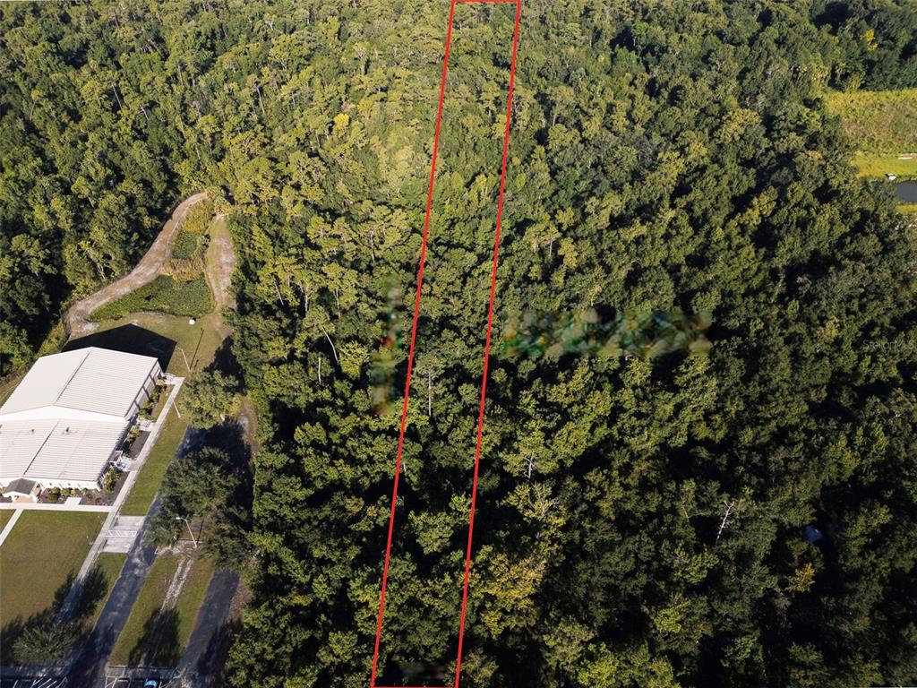 An aerial view shows a rectangular plot of land outlined in red amidst a dense forest — 2316 ROUSE ROAD, ORLANDO, FL