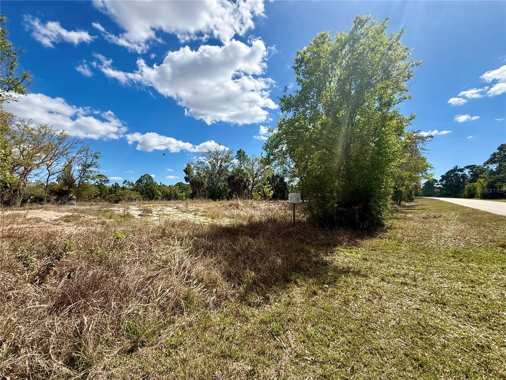 A vacant, grassy lot with scattered trees and shrubs under a bright, cloudy sky — 13212 & 13206 MARYLAND AVENUE, PUNTA GORDA, FL