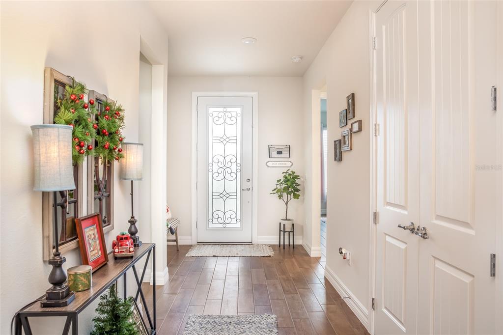 A bright entryway features wood-look tile flooring, a white front door with glass, and a console table — 13877 CARLOW PARK DRIVE, RIVERVIEW, FL