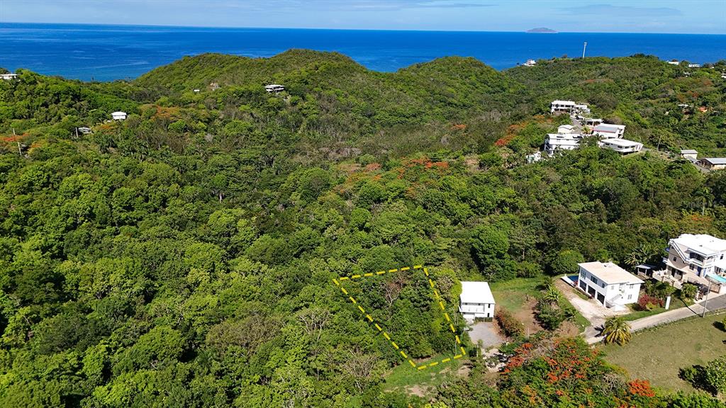 An aerial view shows a wooded lot outlined in yellow next to a white house — Hidden Tranquil Lot 413 SECTOR COLLAZO, RINCON, PR