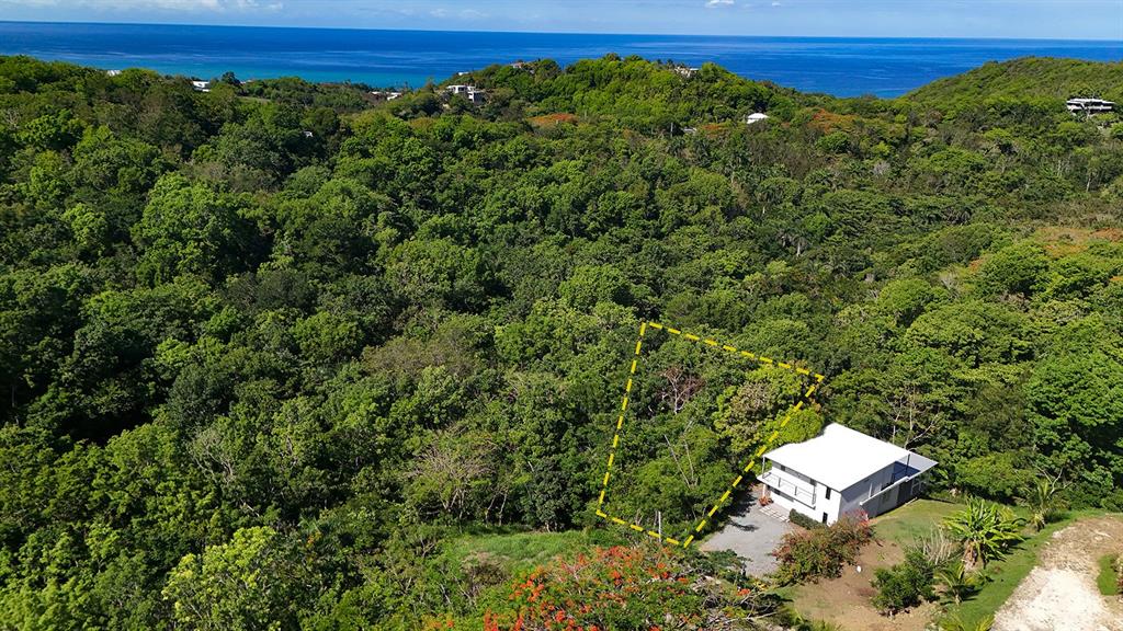 An aerial view shows a white house situated next to a wooded lot marked by lines — Hidden Tranquil Lot 413 SECTOR COLLAZO, RINCON, PR