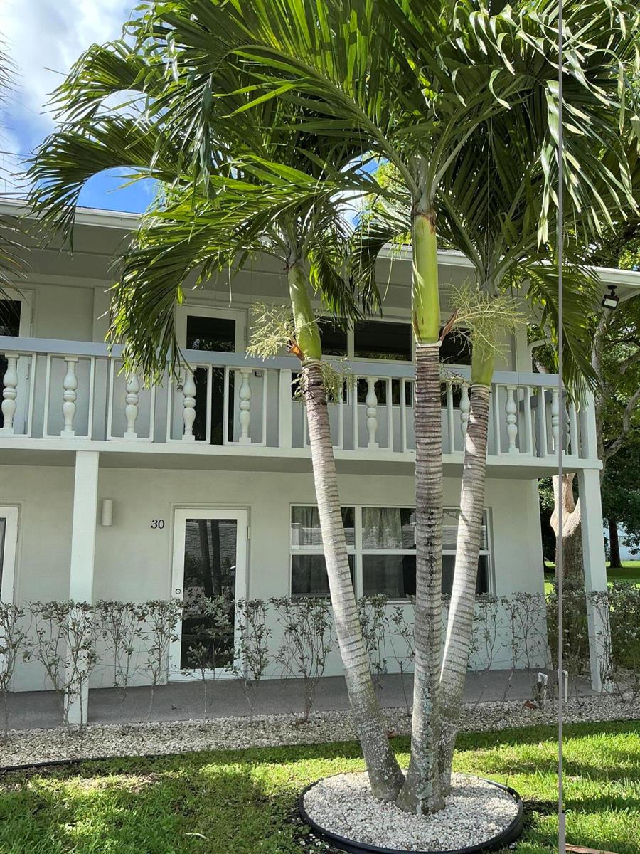 A two-story building exterior features a balcony with white railings and a palm tree — 40 Ventnor Drive, Deerfield Beach FL 33442, DEERFIELD BEACH, FL