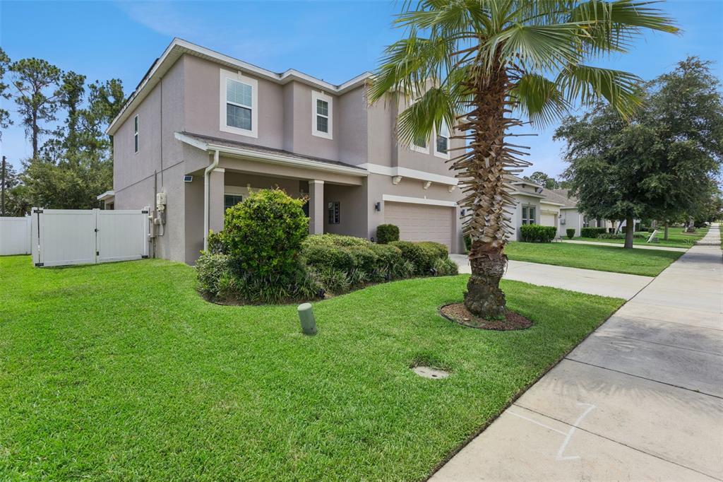 A two-story suburban house with a tan exterior, a palm tree, and a white fence — 2514 PLUMADORE DRIVE, GRAND ISLAND, FL