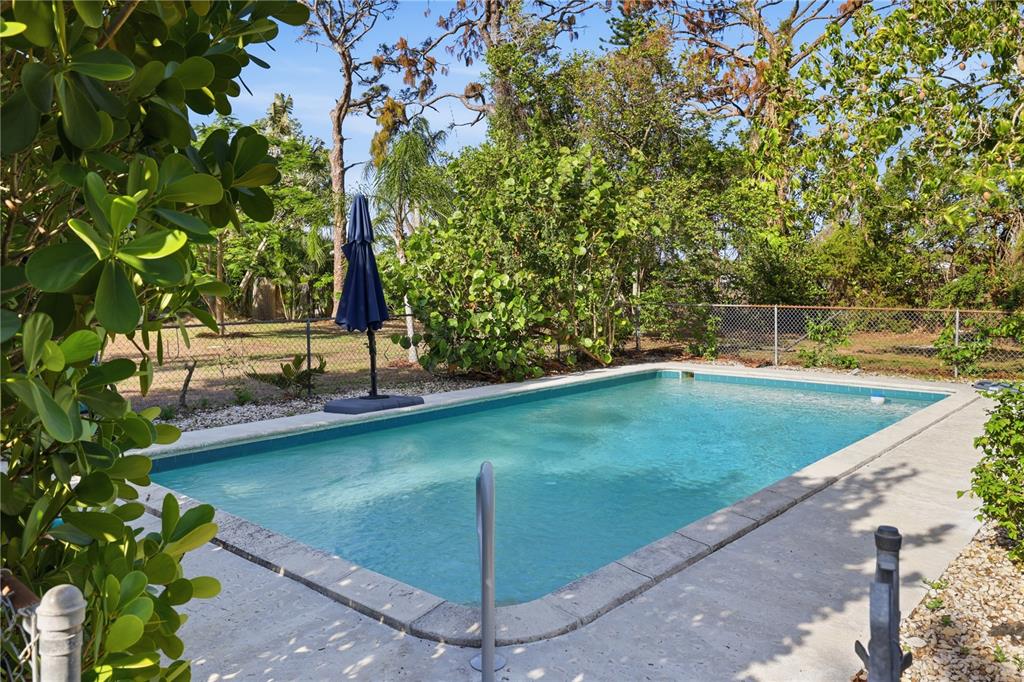 A rectangular swimming pool sits on a concrete patio surrounded by lush trees and fencing — 1620 MANOR ROAD, ENGLEWOOD, FL
