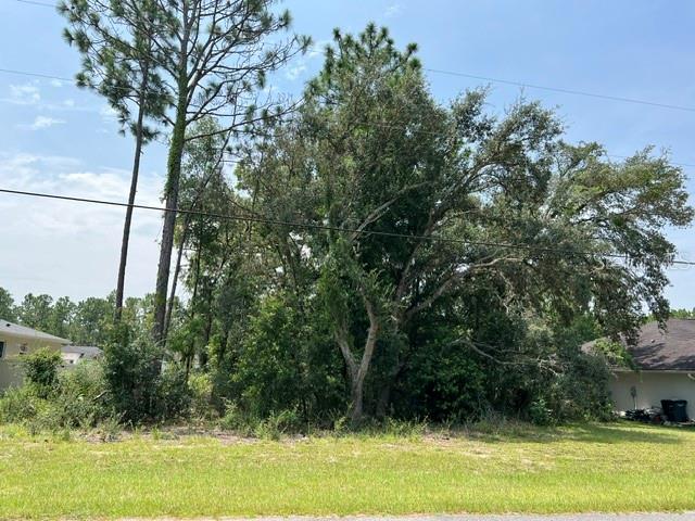 A vacant, wooded residential lot sits between two houses under a blue sky — Lot 2 SW 132 STREET, OCALA, FL