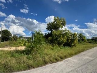 A vacant, grassy lot with trees and a street sign along a paved road — 3913 14TH STREET SW, LEHIGH ACRES, FL