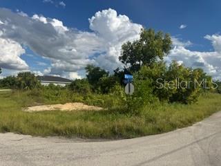 A vacant, grass-covered corner lot features a street sign and scattered trees under a cloudy sky — 3913 14TH STREET SW, LEHIGH ACRES, FL