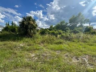 A vacant, overgrown lot features tall grass, shrubs, and a large palm tree under a sky — 3913 14TH STREET SW, LEHIGH ACRES, FL
