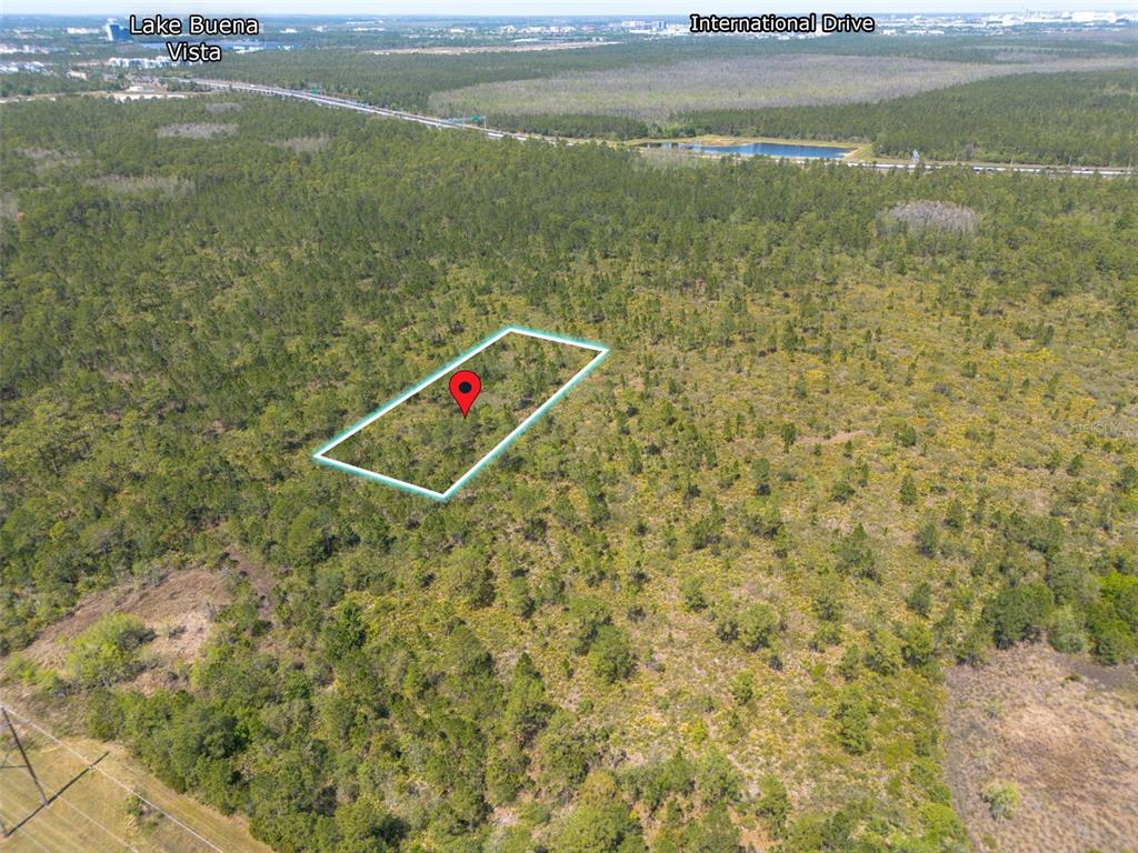 SR-535, ORLANDO, FL — photo 2 of 4
