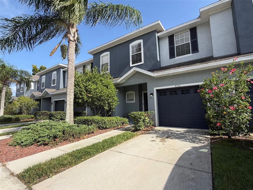 A two-story townhouse with a dark blue garage, gray siding, and a palm tree — 4530 AMBERLY OAKS COURT, TAMPA, FL