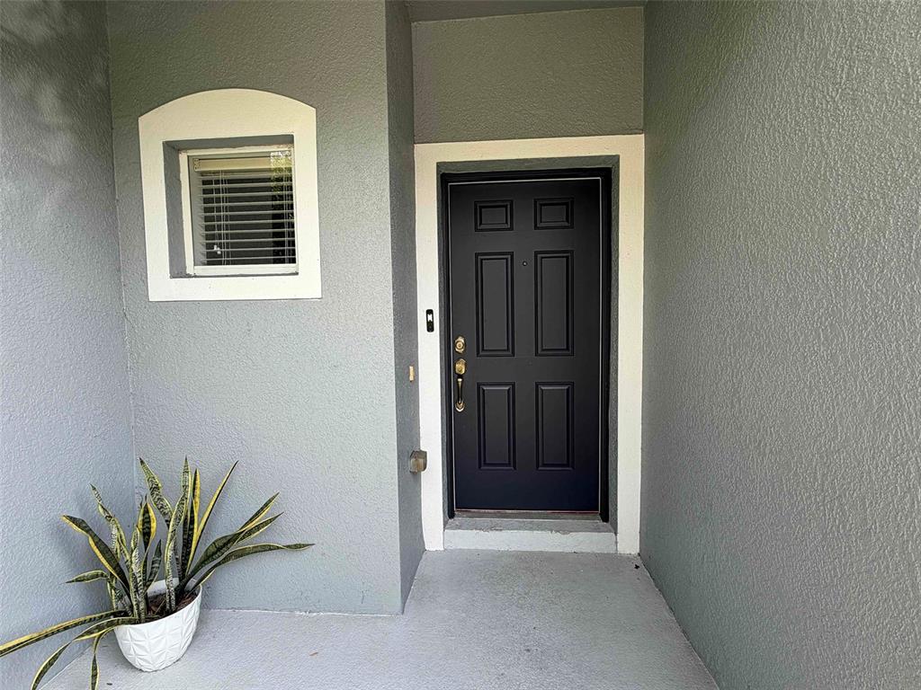 A black front door with a window to the left and a potted plant — 4530 AMBERLY OAKS COURT, TAMPA, FL