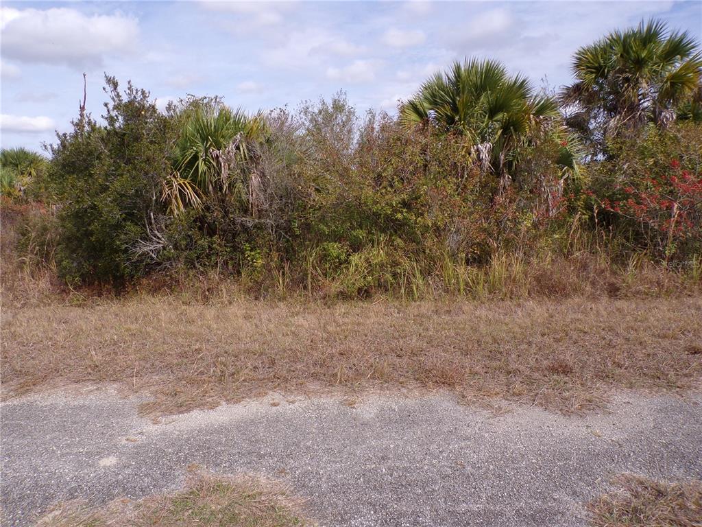 A paved road borders a dense, overgrown lot filled with shrubs and palm trees — MAGELLAN STREET, NORTH PORT, FL