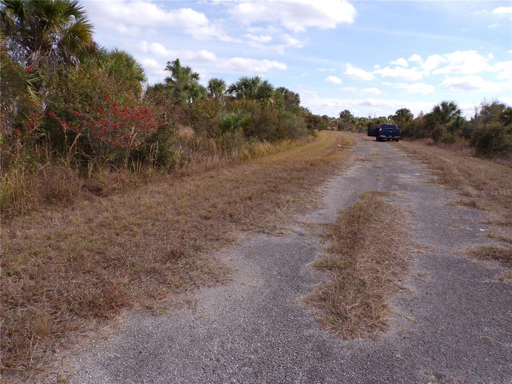 A narrow, weathered asphalt road runs through a landscape of dry grass and palm trees — MAGELLAN STREET, NORTH PORT, FL