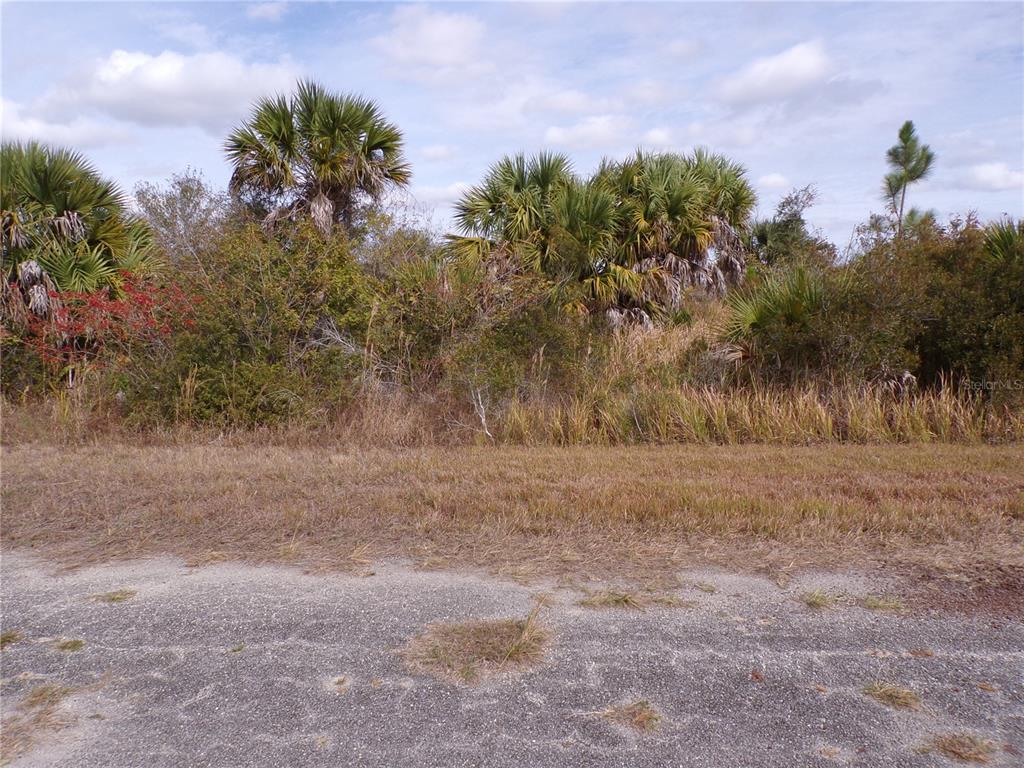 A view of a vacant, overgrown lot with palm trees and brush from a paved road — MAGELLAN STREET, NORTH PORT, FL