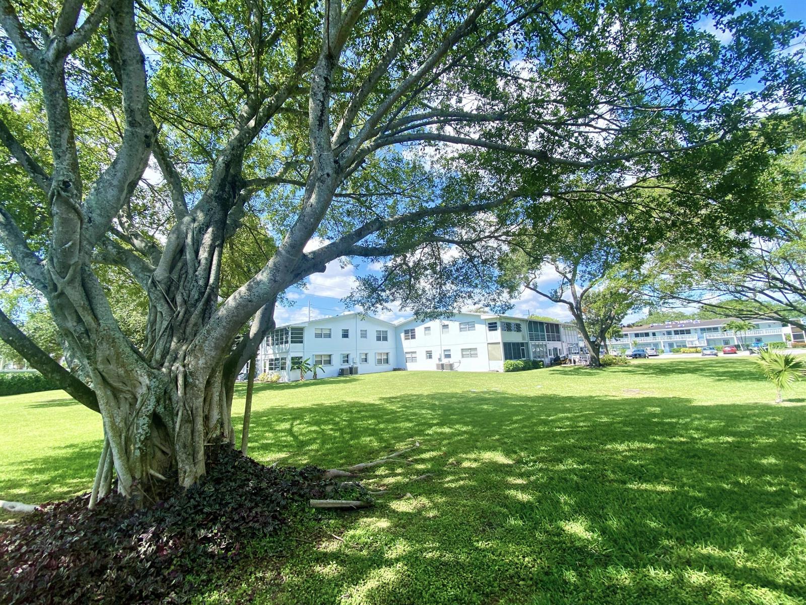 335 Farnham P, Deerfield Beach FL 33442