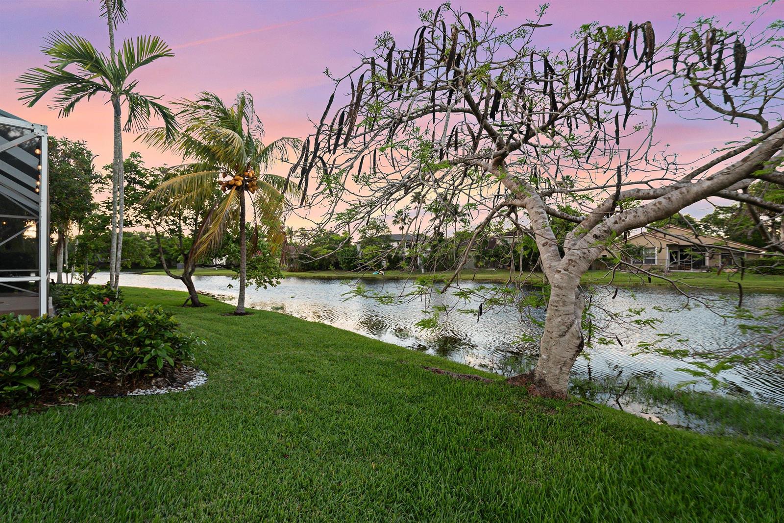 A grassy backyard overlooks a lake with palm trees and a large, bare-branched tree — 412 Cameron Drive, Weston FL 33326, WESTON, FL