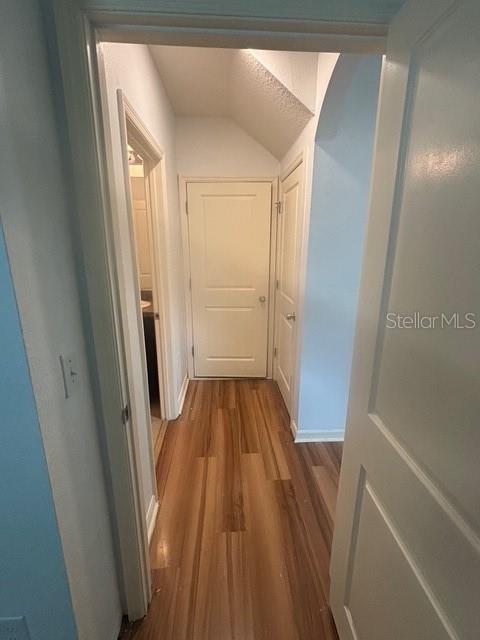 A hallway with wood-look flooring leads to two closed doors and a partial view of a bathroom — 32762 PEZ LANDING LANE, WESLEY CHAPEL, FL