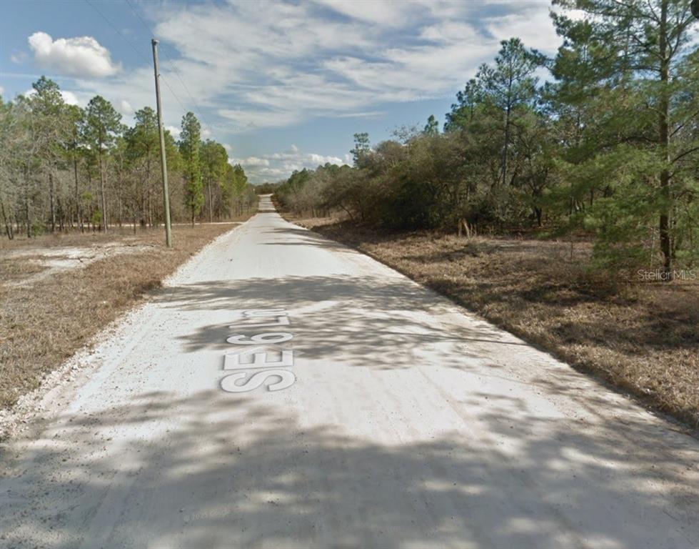 A dirt road stretches through a wooded area under a blue sky with scattered clouds — 14710 SE 6TH LANE, WILLISTON, FL
