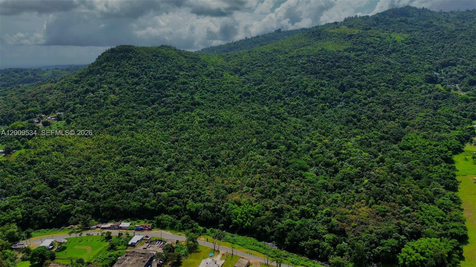 An aerial view shows a dense, forested mountain slope rising above a road and buildings — PR 185 KM 7.3 INT Campo Rico, Canovanas, PR 00729, PR