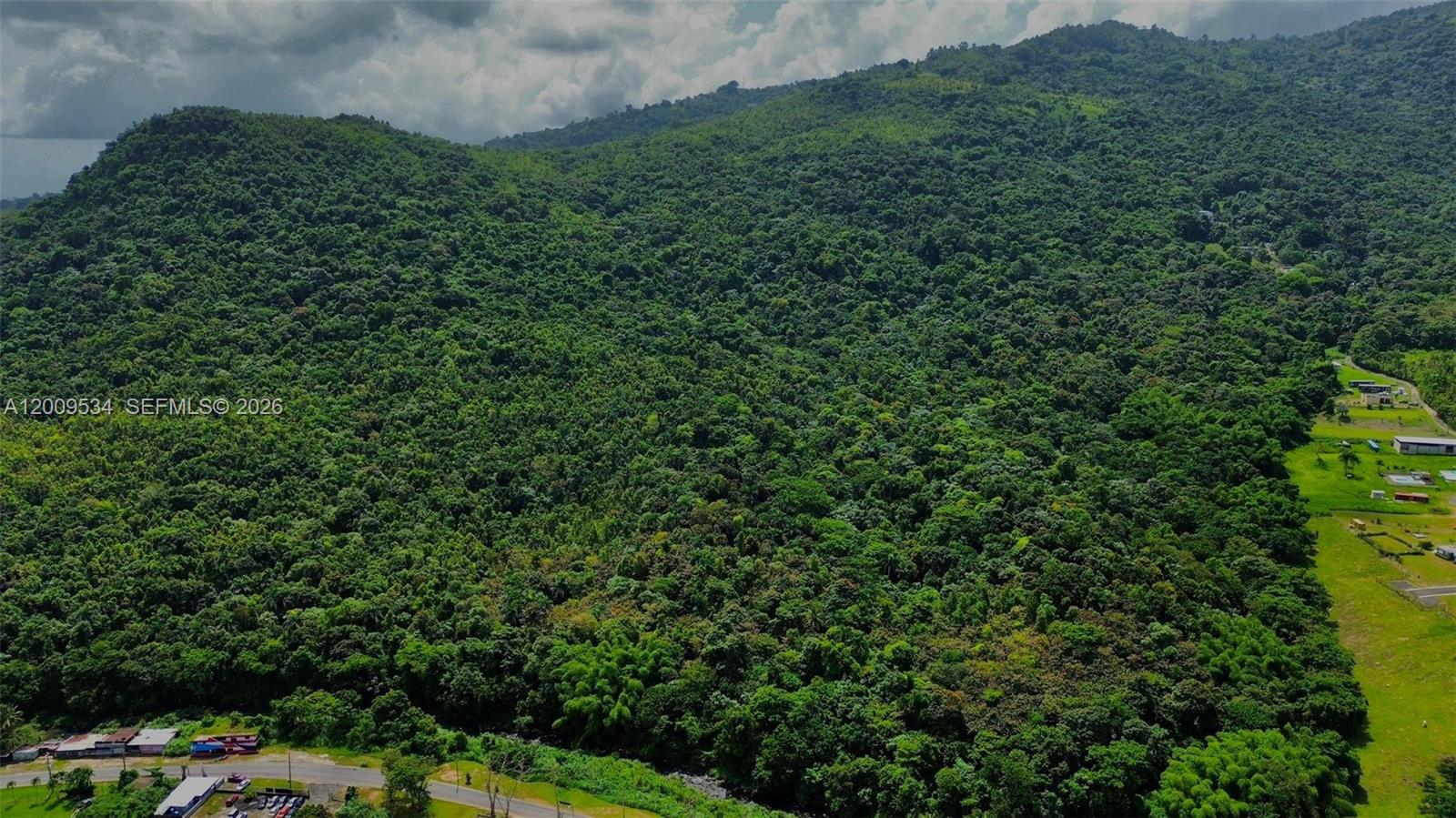 An aerial view shows a dense, forested mountain slope next to a road and buildings — PR 185 KM 7.3 INT Campo Rico, Canovanas, PR 00729, PR