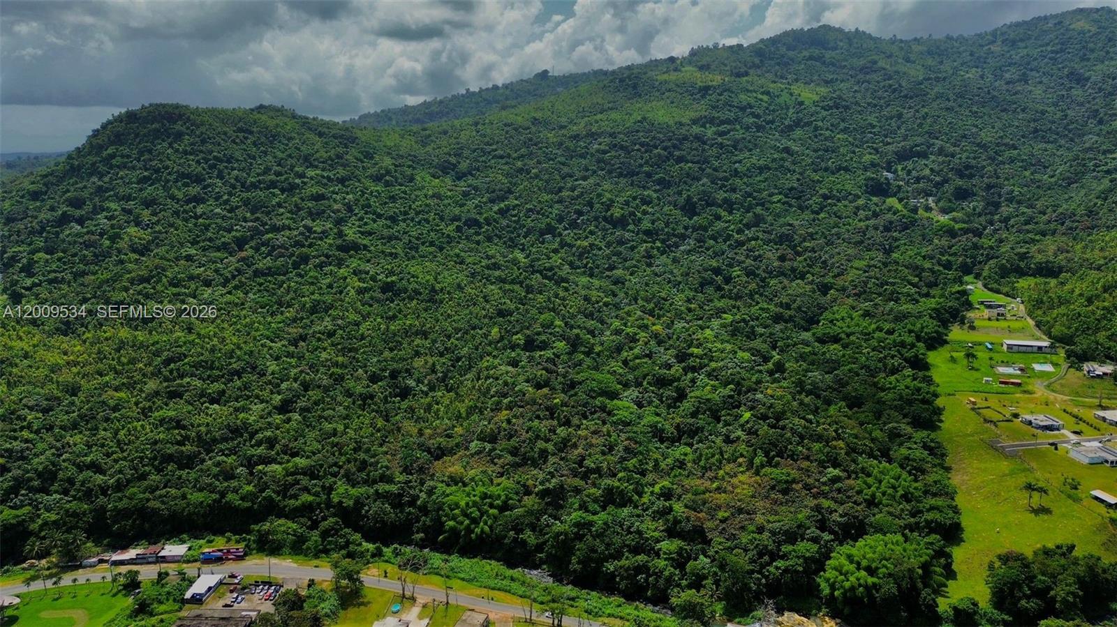 An aerial view shows a dense, forested mountain slope adjacent to a grassy residential area — PR 185 KM 7.3 INT Campo Rico, Canovanas, PR 00729, PR