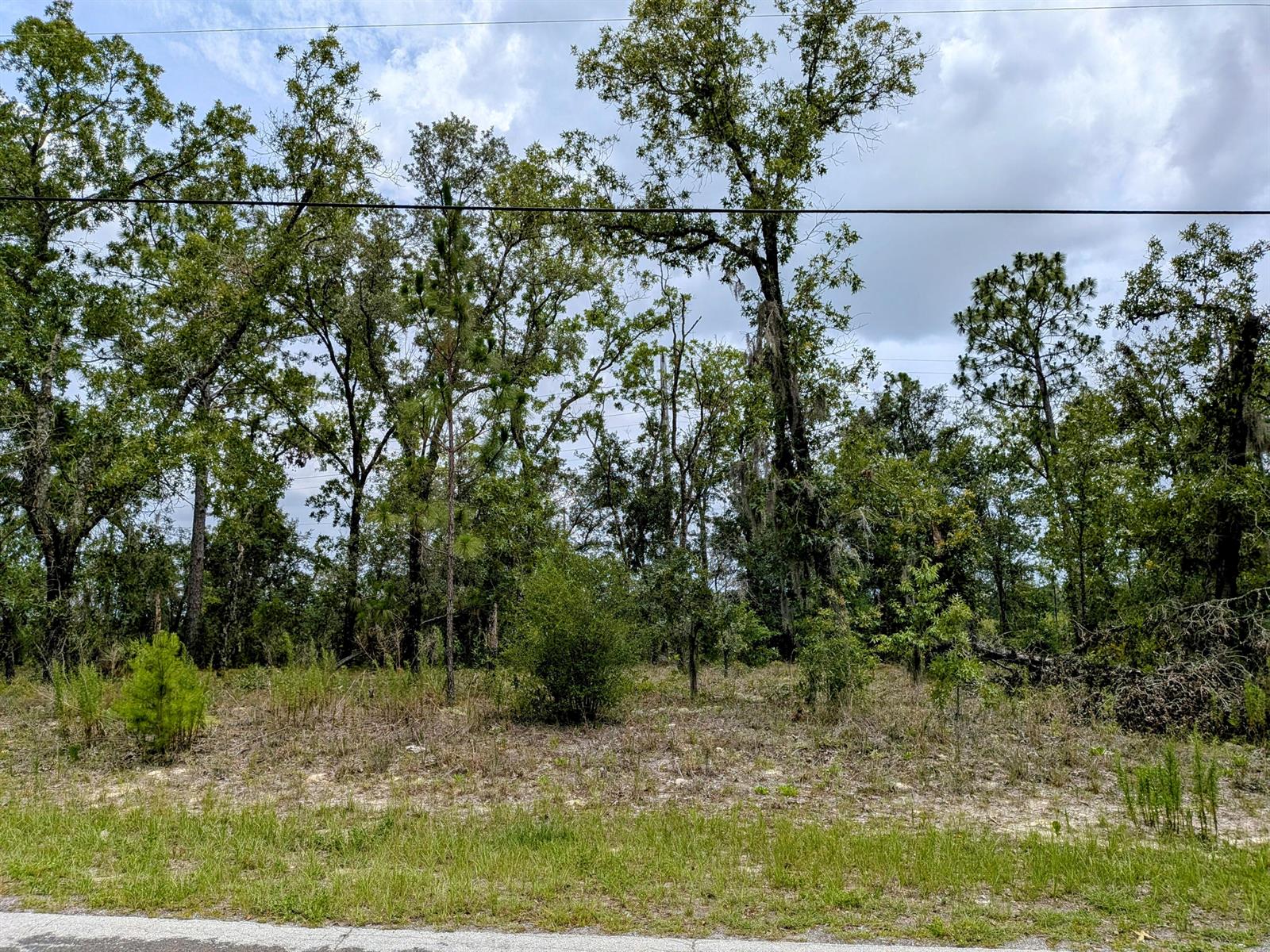 2450 W Rutland Drive, FL 34434