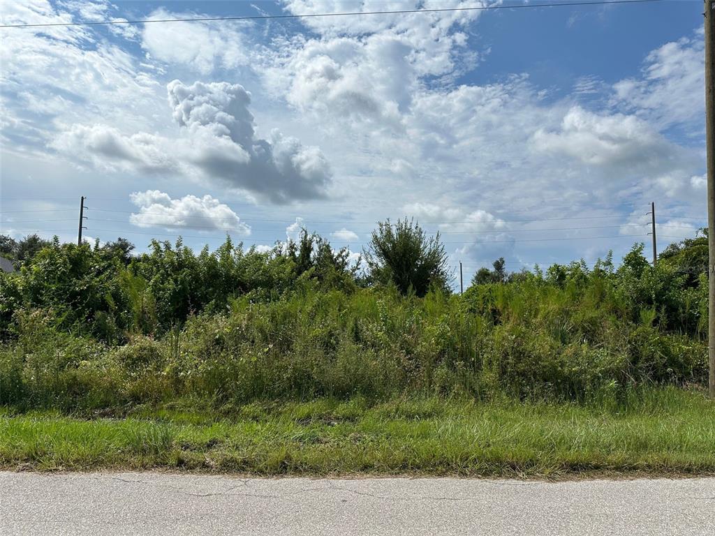 A vacant, overgrown lot sits alongside a paved road under a cloudy blue sky — 12215 TETZEL AVENUE, PORT CHARLOTTE, FL